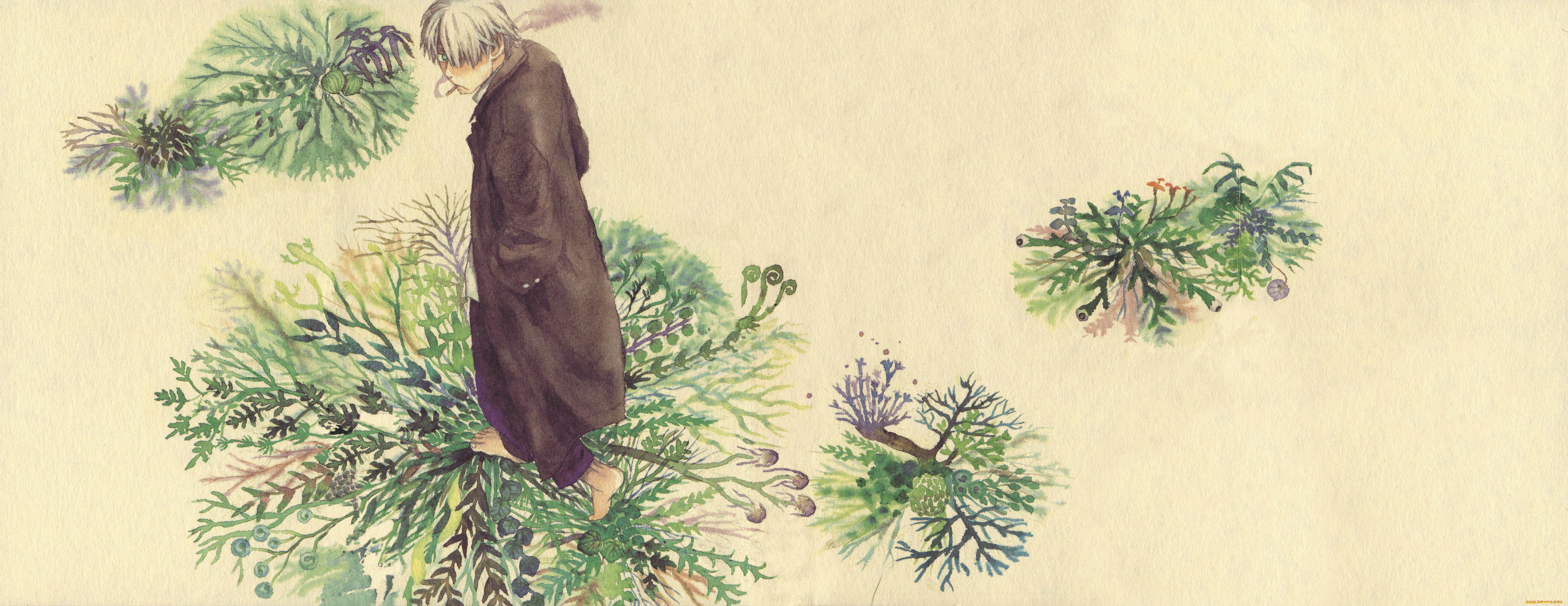 , mushishi, ginko